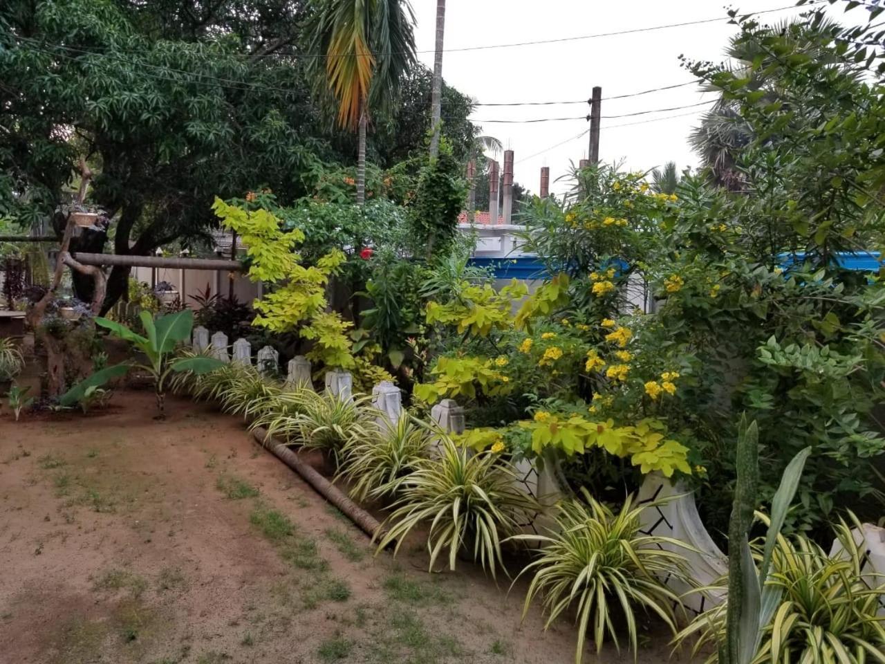 Berty'S Cottage Jaffna Extérieur photo